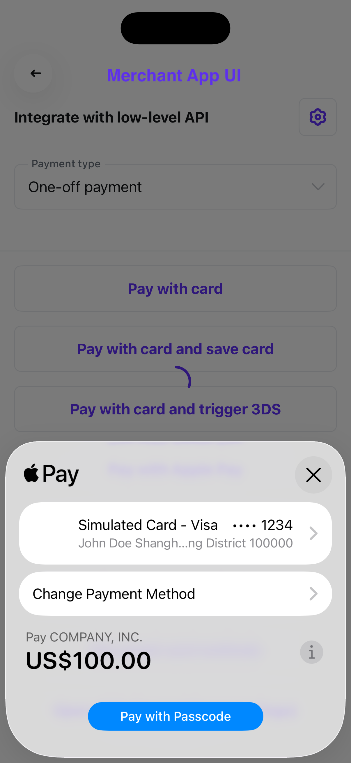 API - Single payment method